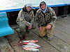11/11/12- Four whitefish caught by 2 fishermen from Rochester Hills