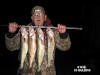 10/11/14- Walleyes caught by Dallas